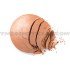 Flormar пудра теракота 43 Flormar пудра теракота 43